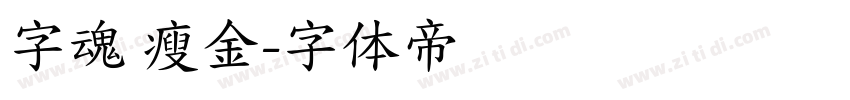 字魂 瘦金字体转换
